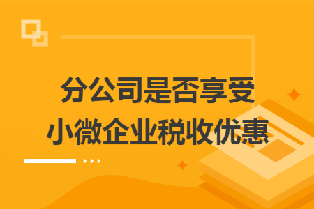 分公司是否享受小微企业税收优惠