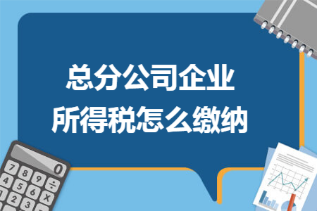 总分公司企业所得税怎么缴纳