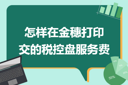 怎样在金穗打印交的税控盘服务费