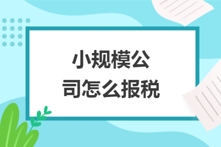 小规模公司怎么报税 小规模公司怎么报税