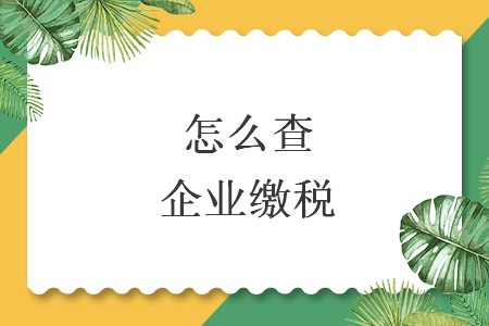 怎么查企业缴税 怎么查企业缴税