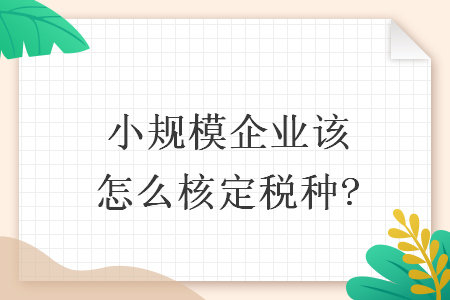 小规模企业该怎么核定税种?