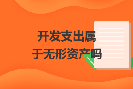 开发支出属于无形资产吗