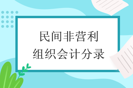 民间非营利组织会计分录