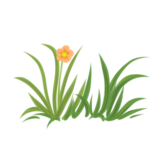 帝国mip模板_帝国模板安装教程_帝国 下载站模板