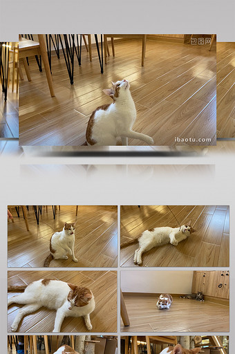 保存恢复手机电话号码的软件_excel保存了怎么恢复_保存恢复信息时间间隔