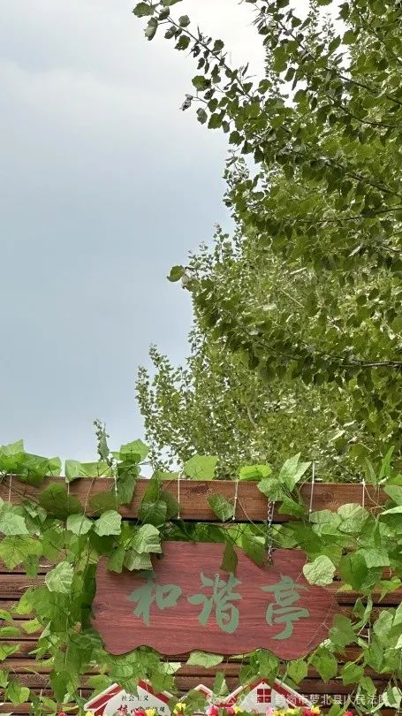 朝阳法院双桥法庭_北京市朝阳区双桥法庭_朝阳法院电话85998双桥