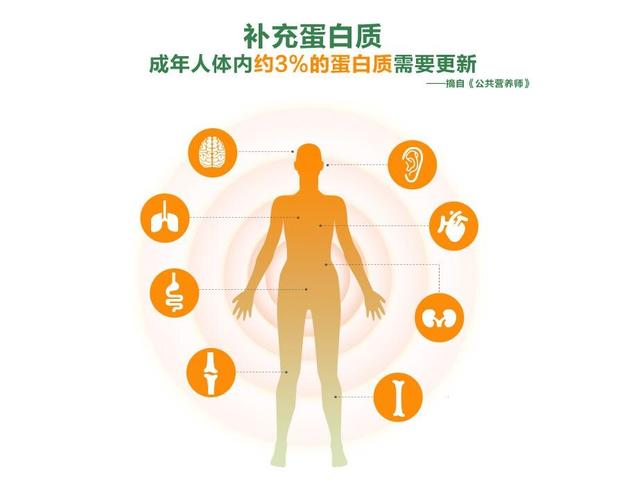 肺癌+白蛋白_肺癌白蛋白高是怎么回事_白蛋白肺癌