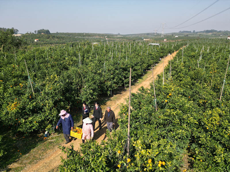北京市朝阳区双桥法庭_朝阳法院双桥法庭_朝阳法院电话85998双桥
