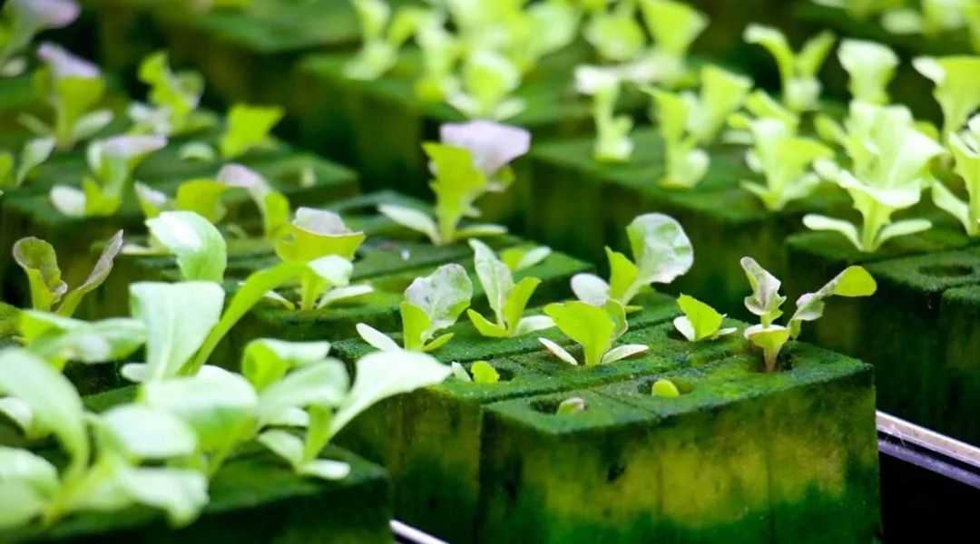 朝阳法院双桥法庭_北京市朝阳区双桥法庭_朝阳法院电话85998双桥