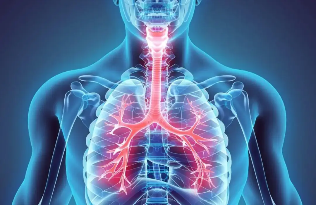 小儿哮喘发作时的特征_小儿哮喘发作症状_小儿哮喘发作怎么办