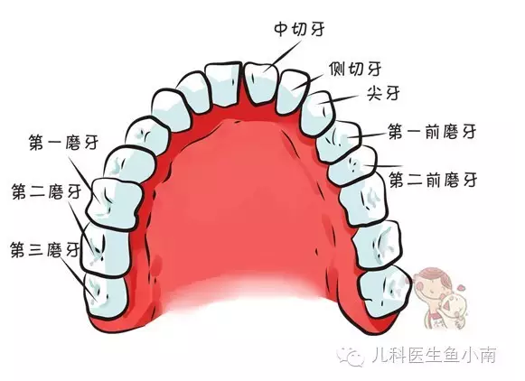 宝宝感冒咳嗽好了还要吃药吗_宝宝感冒后咳嗽老不好怎么办_我宝宝感冒也好了咳嗽也好了