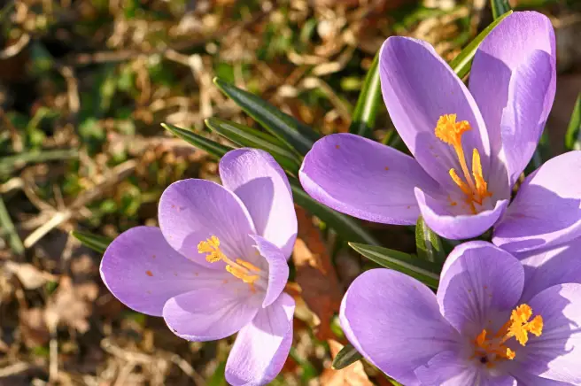 图书收银软件_书店收银软件_图书收银软件下载