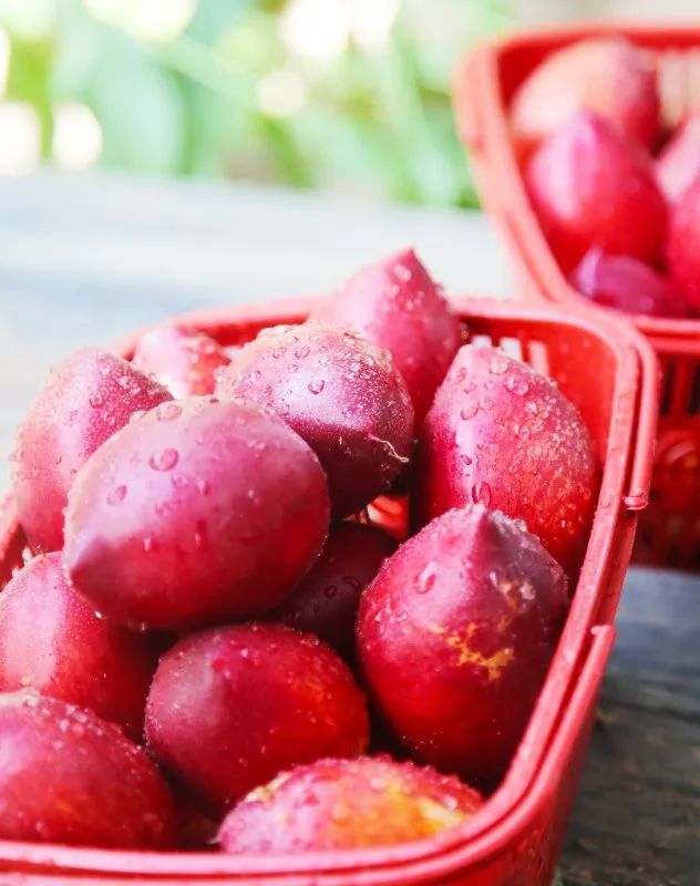 rec一键刷入工具安卓版_手机端一键刷入rec工具_一键刷入rec工具箱