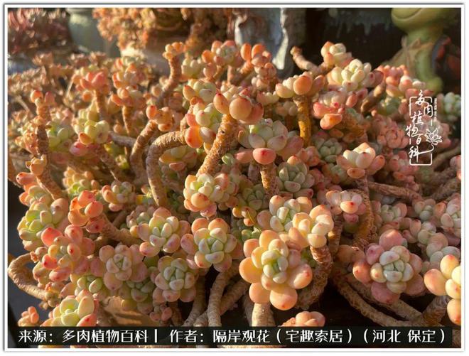 番茄花园系统安装过程_番茄花园系统安全吗_系统之家番茄花园