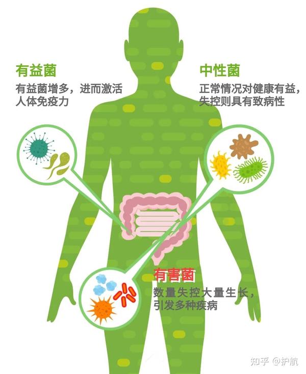 克罗恩饮食护理_克罗恩病饮食注意什么_克罗恩饮食注意事项