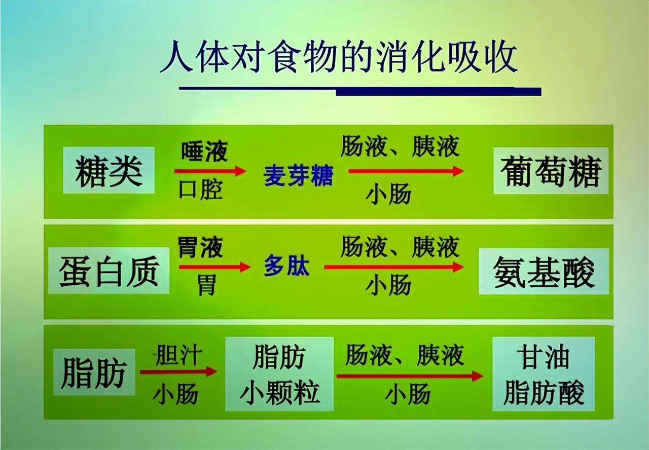 克罗恩病饮食注意什么_克罗恩饮食注意事项_克罗恩饮食护理