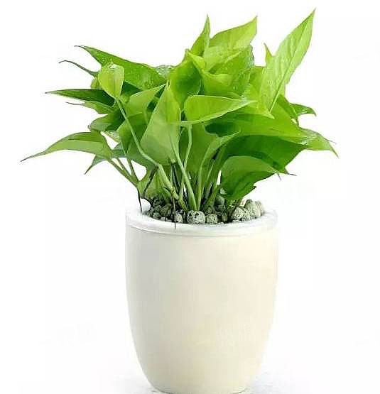 qt样式表选择器_qt样式表选择器_qt样式表选择器