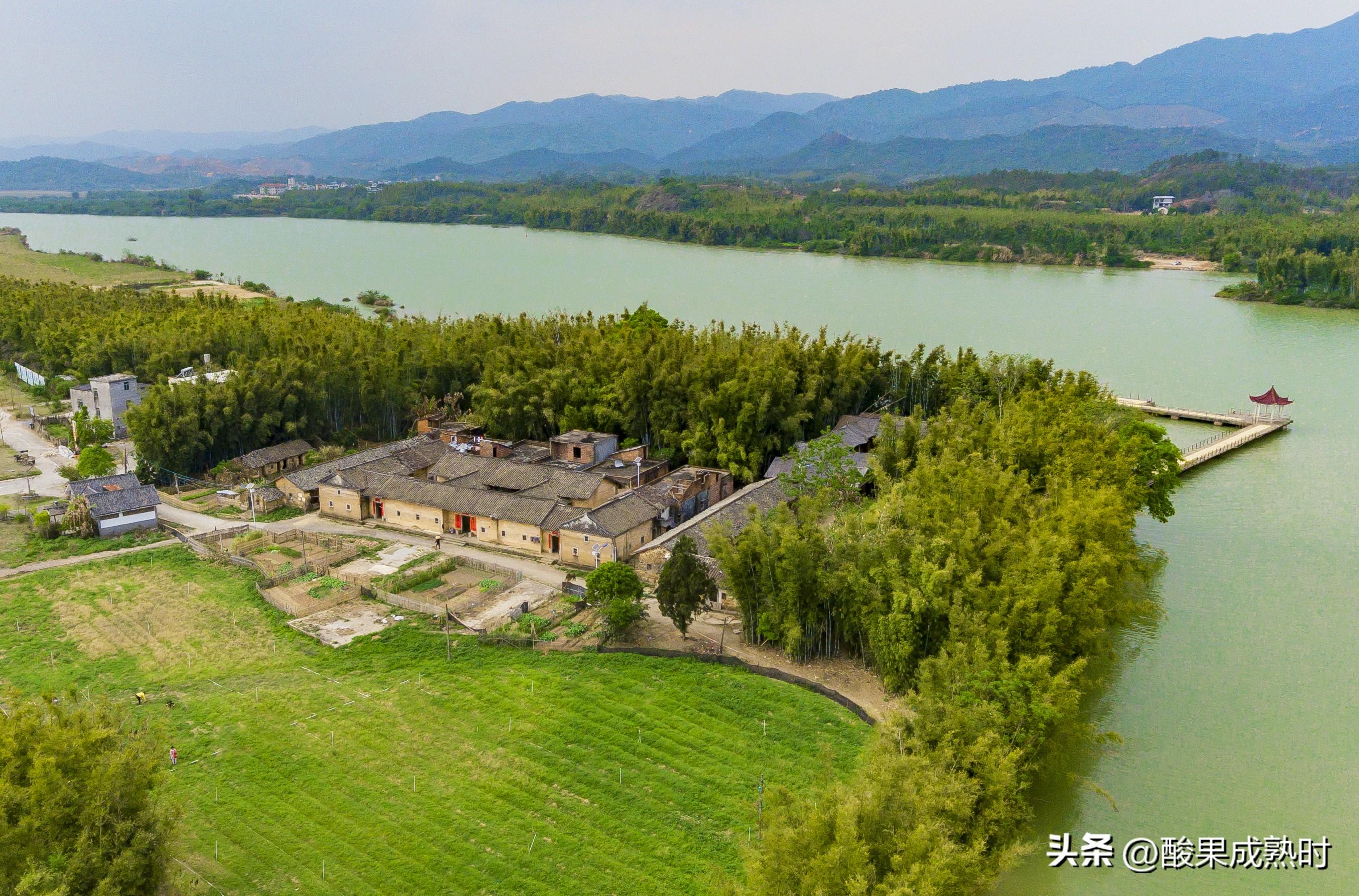 油流指示器规格型号_接点油流指示器_油流指示器接线图说明