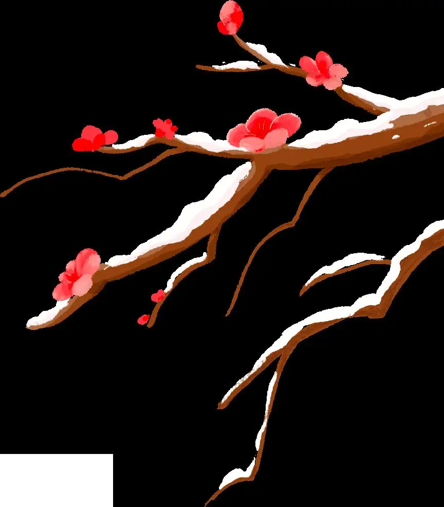 冠心病护理问题及相关因素_冠心病病人的护理问题_护理病人冠心病问题分析