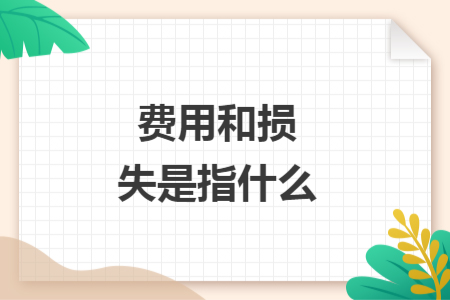 费用和损失是指什么 费用和损失是指什么