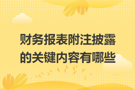 财务报表附注披露的关键内容有哪些 财务报表附注披露的关键内容有哪些