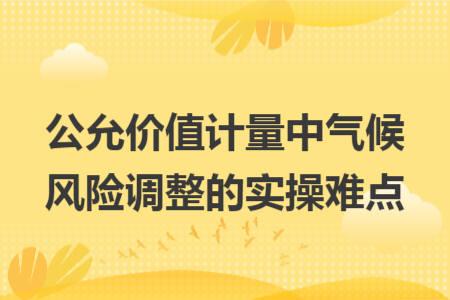 公允价值计量中气候风险调整的实操难点