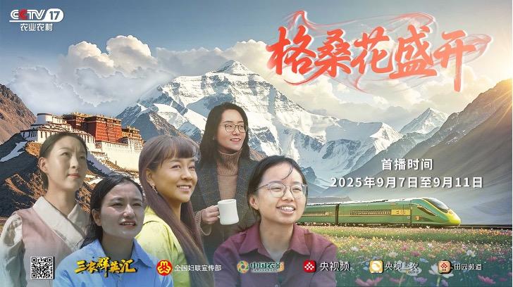 1216364147036278.jpg 图片 1.jpg