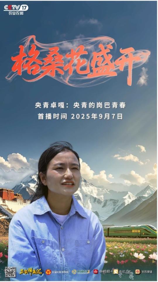 1219366963732028.jpg 图片 2.jpg