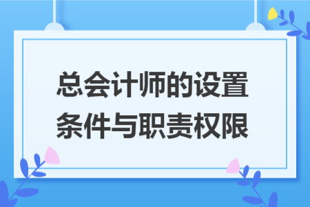 总会计师的设置条件与职责权限 总会计师的设置条件与职责权限